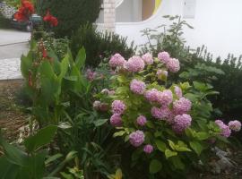 Alemka, hotel en Banjol