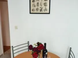 Apartment LENKA -Split ,great location