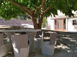 VENTA DE LA CASA NOGUERA