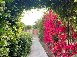 Bougainville, chata v destinácii San Vincenzo