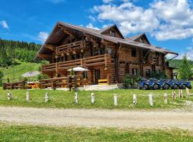 Pensiunea Agroturistica Casa Brazilor, agriturismo a Sărişoru Mare