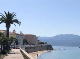 Ajaccio : appartement centre historique