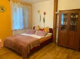 Alba Apartmany Železná Ruda