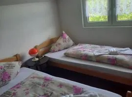 Apartman EDINA