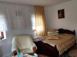 Casa Rodica, hotel en Vatra Dornei