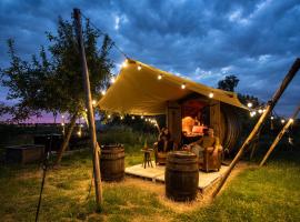 Tiny Wineyhouse no 1, camping in Zennewijnen