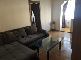 Apartament Adela, apartment in Brezoi