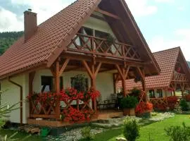 Dzika Stokrotka