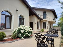 Villa Boutique Alina, four-star hotel in Deva