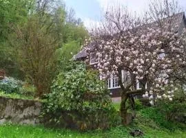 Haus am Wald Zorge 16+ Gäste