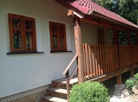 Chata Vidlák, vacation rental in Černíny