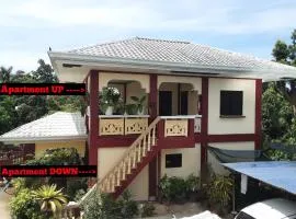 Peace Lily Studio Apartments Panglao