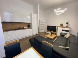 CLASSY TIMES - City Centre - Private Parking - Sunny apartment