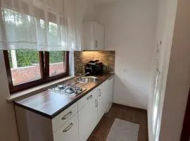 Studio apartman SAN 3