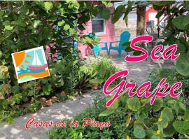 Sea Grape Cottage - At Casas de la Playa Central، شقة في فلاغلار بيتش