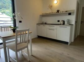 Terrazza Central Apartments, apartment in Bolzano