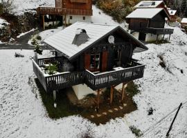 Chalet proche Morzine et lac Léman WIFI offert, lyžiarske stredisko v destinácii Le Biot