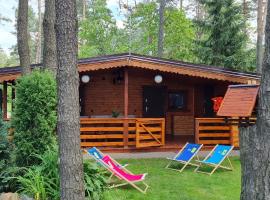 Domek nad jeziorem - Mazur House, hotel in Ostróda