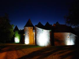 Chateau de Forges, vacation rental in Concremiers