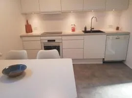 Feriehuse Hvide Sande