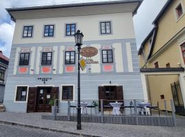 Hotel Salamander - Garni, hotel Selmecbányán