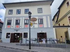 Hotel Salamander - Garni