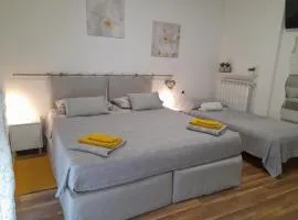 Cristel malpensa room