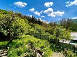 Mountain Top Getaway in Dilijan!