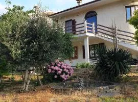 Cozy Villa in Vesime in a delightful area of the Langhe