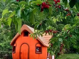 Krka Magic Pumpkin