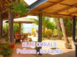 Blue Corals Beach Bungalow