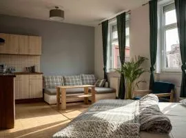 Apartamenty Na Winklu Green
