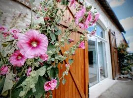 Gîte grande capacité en Touraine