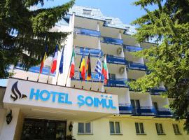 Hotel Soimul, отель в Пояна-Брашове