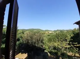 Villa Le Palmine