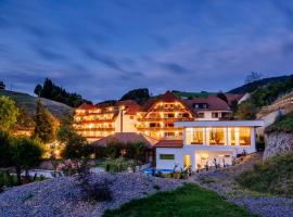 Ludinmühle, hotel in Freiamt