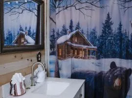 Remodelled cabin! great location!