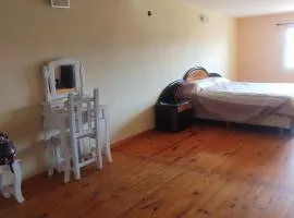 Departamento 1 ambiente zona sur