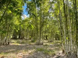 GSM Bamboo Farm RV and Caravan site