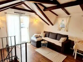 APARTMANI CENTAR VODICE
