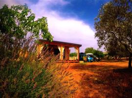 Nature Home Eco-friendly Pet-friendly, Hotel in Fažana