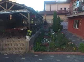 Vila Efor