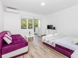 Studio apartman Scardona