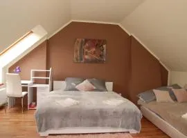 Apartament Vistula