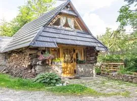 Domek Szałas Zornica
