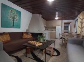 VillaTzer - Traditional house with fireplace and garden, holiday home in Tzermiádon