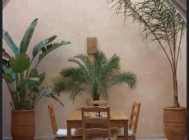 Riad L'Aéroport