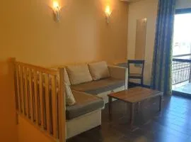 Duplex moderne avec piscine chauffée, parking, WiFi et animaux acceptés - FR-1-165B-13