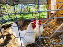 Kids Paradise! Chickens, Pool, Trampoline, perehotell sihtkohas Port McNicoll