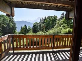 Apartment With View On The Mont Blanc